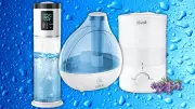 Top 6 Affordable Humidifiers to Combat Winter Dryness in Canada