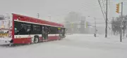 Toronto Declares Second Major Snow Event as Winter Storm Buries GTHA Under 50 cm