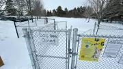 Waterloo Dog Park Reopens After Fence Repairs Completed on Jan. 6, 2026