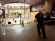 West Edmonton Mall Briefly Locked Down Following Weapons Complaint