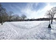 Windsor Developer Swaps Condos for 24 Townhomes After Neighbourhood Dispute