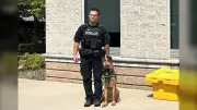 Windsor Police K9 Link Apprehends Two Break-In Suspects in Successful Operation