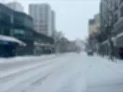 Windsor Slashes Winter Snow Removal Budget Amid Fiscal Pressures