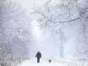 Windsor's 2026 New Year Guide: Nature Walks, Cold Plunges & Running Clubs