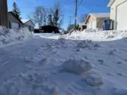 Winnipeg Residents Face Snow Clearing Burden as City Windrows Block Back Lane Access
