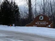 Wye Marsh Open House Showcases Unique Animal Habitats in Barrie