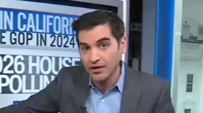 Analyst Predicts Major Democratic Rebound in 2026 Midterms After Texas Win