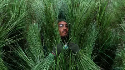 Bad Bunny's Super Bowl Halftime Grass Extras Reveal Costume Challenges