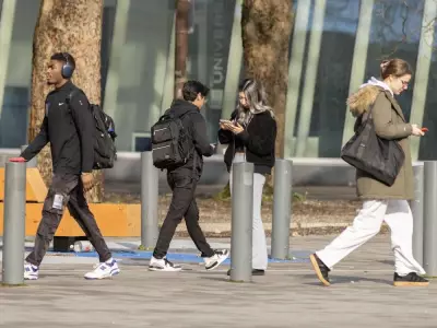 B.C. Graduates Confront 'Brutal' Employment Landscape Amid Rising Youth Joblessness