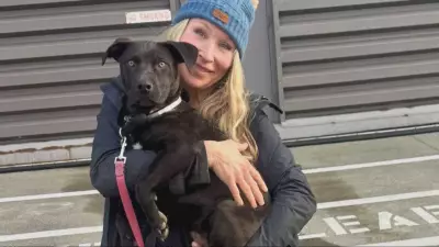 British Columbia Woman Embraces Viking Spirit in Mission to Rescue Dogs
