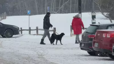 Bruce Pit Dog Park in Ottawa to Close Temporarily for Hydro Ottawa Infrastructure Work