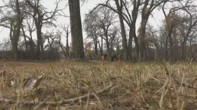 Calgary's Dry January Doesn't Guarantee Summer Drought, Experts Caution