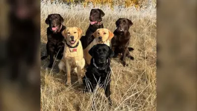 Calgary's Spring-Like Warm Spell to Give Way to Below-Freezing Temperatures Next Week
