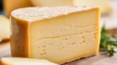Cheese Consumption Linked to Lower Sleep Apnea Risk in Major Study