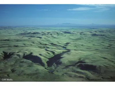 CWF Campaign Reveals Hidden World of Canada's Vanishing Grasslands