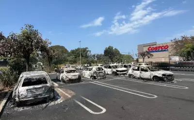 Flights Resume Between Calgary and Mexico After Cartel Violence Disruption