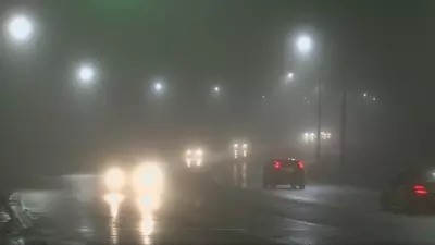 Fog Advisory Issued for Southwestern Ontario Amid Dense Conditions