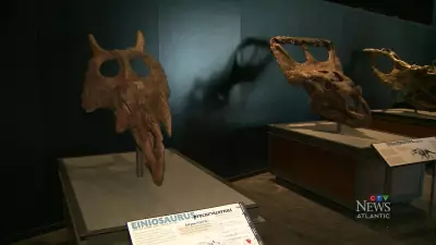 Halifax Museum of Natural History Unveils Dinosaur Exploration 2 Exhibit