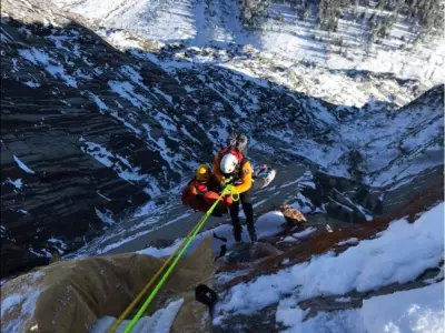 Kananaskis Rescue Missions Hit Record High with 445 Operations in 2025