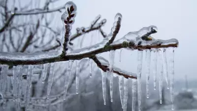 Kitchener Braces for Midweek Winter Blast: Freezing Rain and Snow Forecast