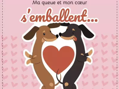 Language Watchdog's Valentine's Post Sparks Controversy Over French Double Entendre