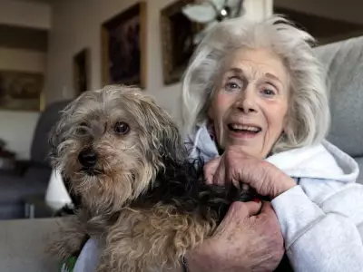 Lost Dog Homer Returns Home After 80 Days Across Montreal