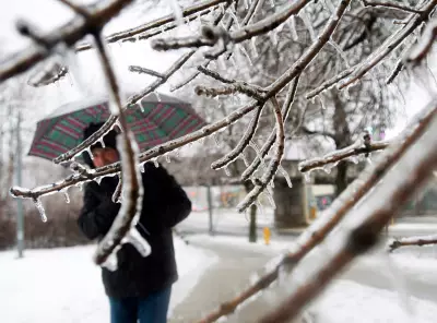 Major Winter Storm Targets GTA with Freezing Rain and Snow Overnight