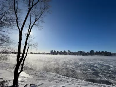 Montreal's Valentine's Day Forecast: Sunshine and Warmer Temperatures Arrive