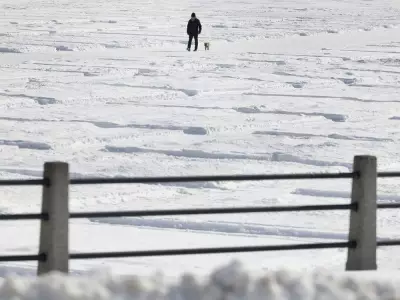 Ottawa Braces for Heavy Snowfall: 7-12 cm Expected Tuesday Afternoon