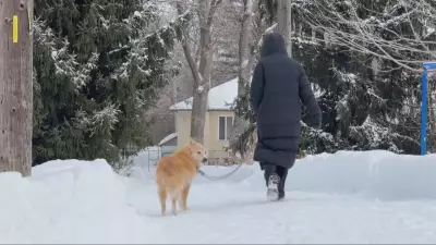 Ottawa Braces for Return of Winter Chill and Friday Snowfall