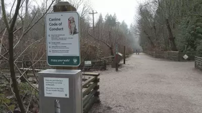 Pacific Spirit Park Off-Leash Trail Changes Spark Controversy Among Vancouver Dog Owners