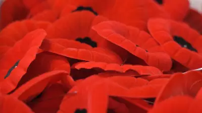 RCMP Charges Two Watson Residents in Wynyard Poppy Box Theft Case