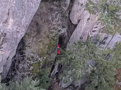 Rock Climber's Quick Action Saves Paraglider in Mount Prevost Rescue