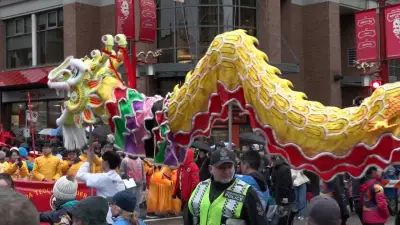 Sad Horses and Draco Malfoy: China's Unusual Lunar New Year Trends