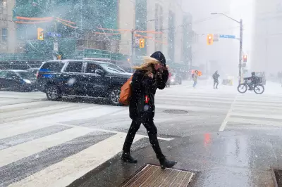 Toronto Braces for Strong Winds and a Sharp Temperature Drop This Friday