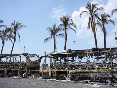 Travel Alert: What to Do If Your Mexico Vacation Encounters Cartel Violence