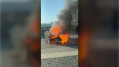 Violence in Mexico Forces WestJet to Divert Flights to Puerto Vallarta