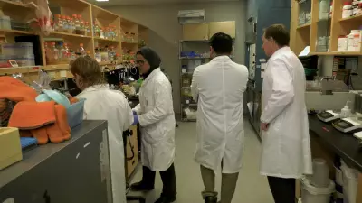 Western University Researchers Unlock Algae's Potential for Vitamins and Biofuel