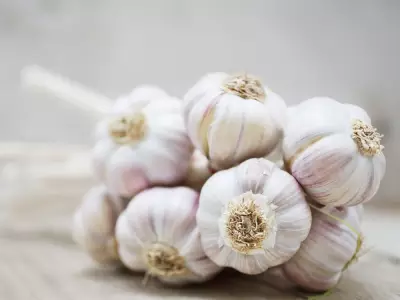 Why Some Garlic Bulbs Sprout Early While Others Store Well Into Spring