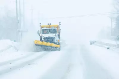 Winter Storm Triggers 160 Crashes Across GTHA, Disrupts Commute