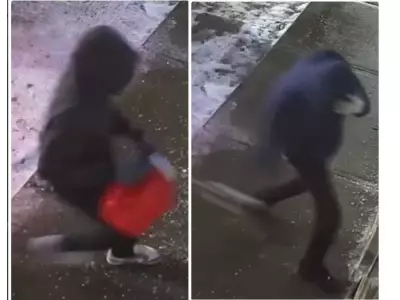 York Region Police Seek Witnesses After Two Attempted Arsons in Markham and Stouffville