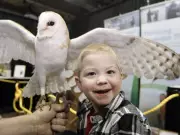 Alberta Birds of Prey Foundation Receives $1M Grant for Major Expansion