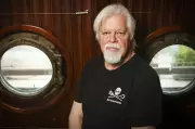 Anti-Whaling Activist Criticizes Nova Scotia's Proposed Whale Sanctuary