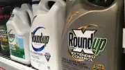 Bayer Halts Roundup Settlement as Investor Confidence Plummets