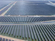 B.C. Climate Update: Solar Project Advances, Orca Calf Born Amid Environmental Shifts