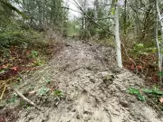 B.C. Government Considered Buying Landslide-Risk Properties But Never Acted