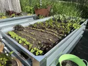 BC Home + Garden Show Offers Spring Gardening Tips and Expert Advice