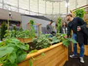 BC Home + Garden Show Returns to Vancouver with Design and Gardening Inspiration
