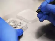 B.C. IVF Program Funding Frozen at $34M Despite High Demand and Waitlists