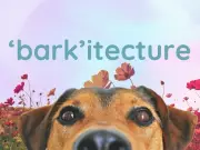 Brian Minter: Creating Multi-Sensory Gardens for Joy and Wellness in 2026